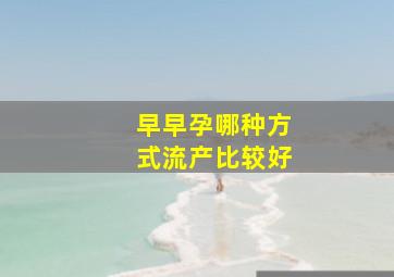 早早孕哪种方式流产比较好