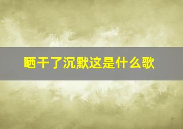 晒干了沉默这是什么歌