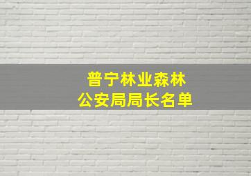 普宁林业森林公安局局长名单