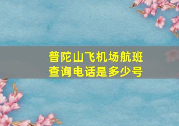 普陀山飞机场航班查询电话是多少号