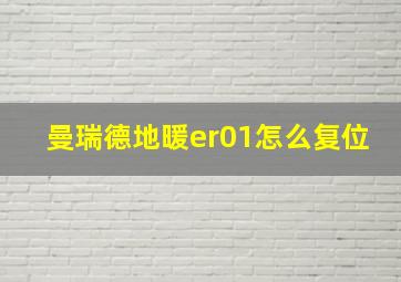 曼瑞德地暖er01怎么复位