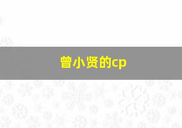 曾小贤的cp