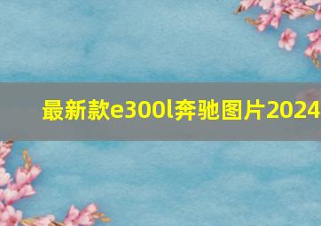 最新款e300l奔驰图片2024