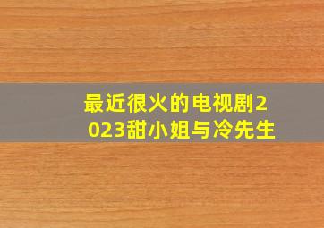 最近很火的电视剧2023甜小姐与冷先生