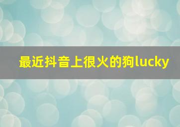 最近抖音上很火的狗lucky