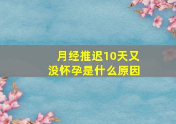 月经推迟10天又没怀孕是什么原因