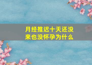 月经推迟十天还没来也没怀孕为什么