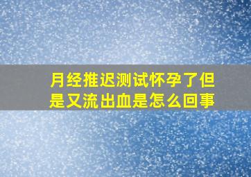 月经推迟测试怀孕了但是又流出血是怎么回事