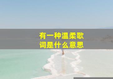 有一种温柔歌词是什么意思