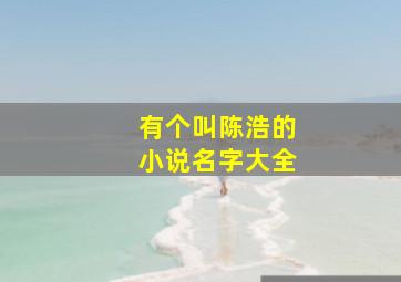 有个叫陈浩的小说名字大全