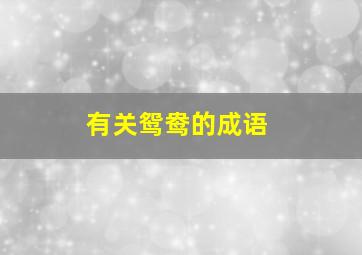 有关鸳鸯的成语