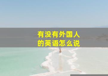 有没有外国人的英语怎么说