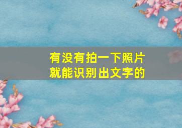 有没有拍一下照片就能识别出文字的