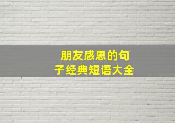 朋友感恩的句子经典短语大全