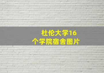 杜伦大学16个学院宿舍图片