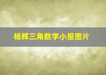 杨辉三角数学小报图片