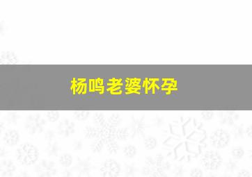 杨鸣老婆怀孕