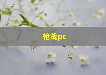 枪战pc