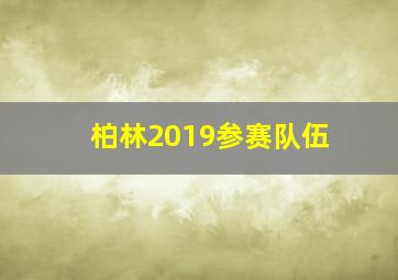 柏林2019参赛队伍