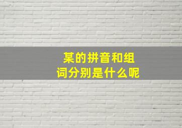 某的拼音和组词分别是什么呢