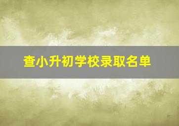 查小升初学校录取名单