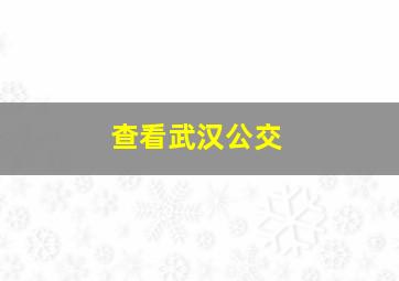 查看武汉公交