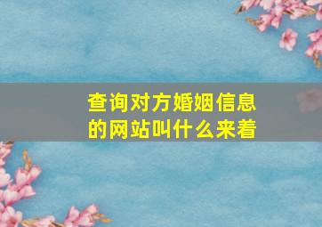 查询对方婚姻信息的网站叫什么来着