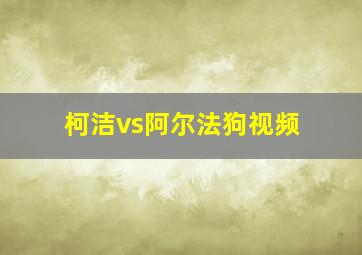 柯洁vs阿尔法狗视频