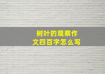 树叶的观察作文四百字怎么写