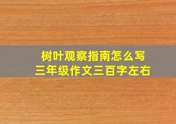 树叶观察指南怎么写三年级作文三百字左右