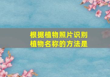 根据植物照片识别植物名称的方法是