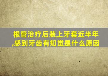 根管治疗后装上牙套近半年,感到牙齿有知觉是什么原因