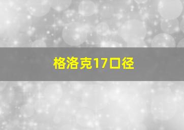 格洛克17口径