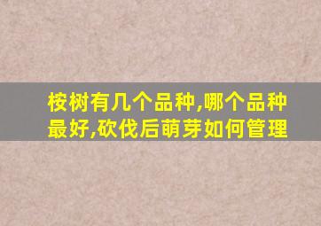 桉树有几个品种,哪个品种最好,砍伐后萌芽如何管理