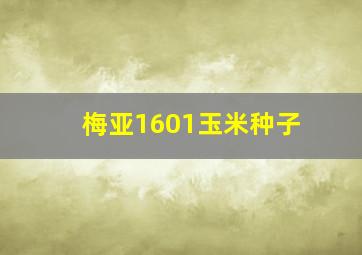 梅亚1601玉米种子