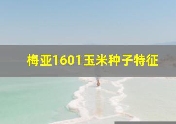 梅亚1601玉米种子特征