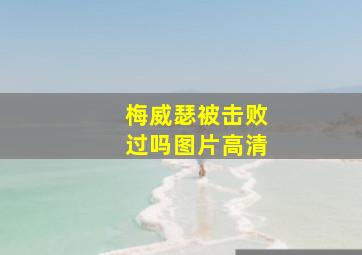 梅威瑟被击败过吗图片高清