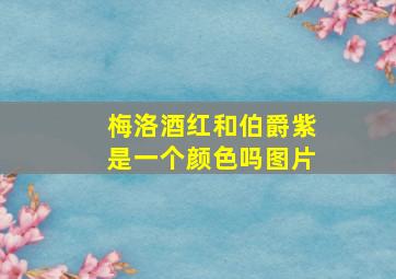 梅洛酒红和伯爵紫是一个颜色吗图片