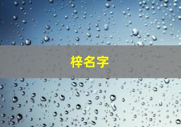 梓名字