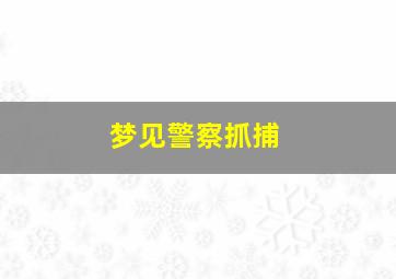 梦见警察抓捕