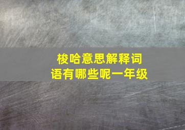 梭哈意思解释词语有哪些呢一年级