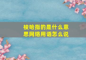 梭哈指的是什么意思网络用语怎么说