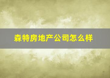 森特房地产公司怎么样