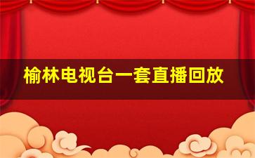 榆林电视台一套直播回放