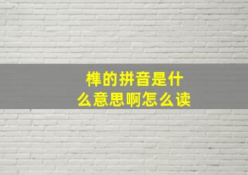 榫的拼音是什么意思啊怎么读