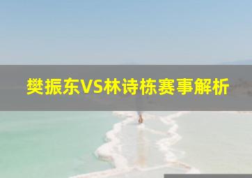 樊振东VS林诗栋赛事解析