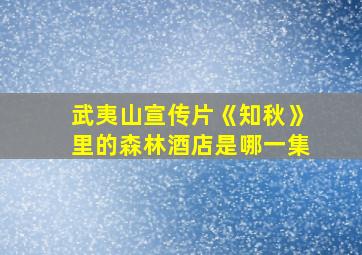 武夷山宣传片《知秋》里的森林酒店是哪一集