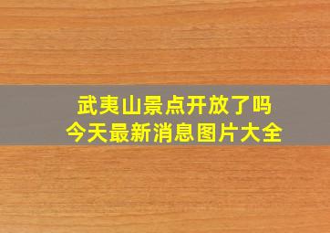 武夷山景点开放了吗今天最新消息图片大全