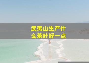 武夷山生产什么茶叶好一点