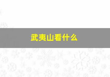 武夷山看什么